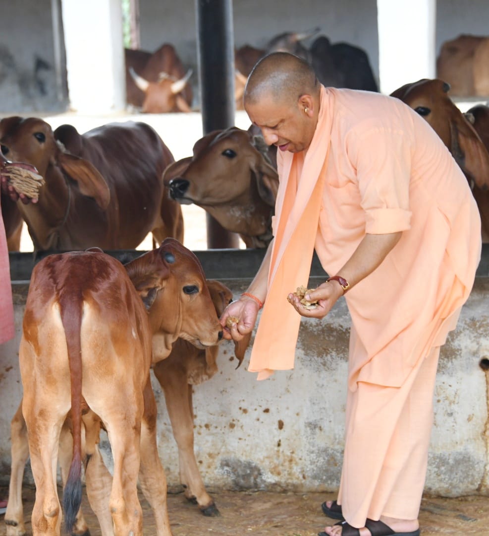 सीएम योगी ने मां पाटेश्वरी के दर्शन पूजन कर की गौ सेवा