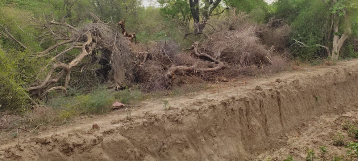 Keoladeo National Park