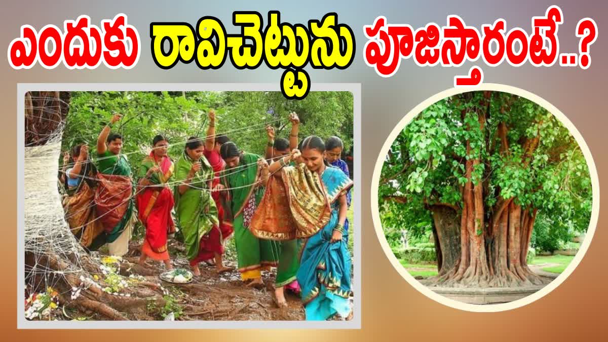 WHY TO WORSHIP PEEPAL TREE