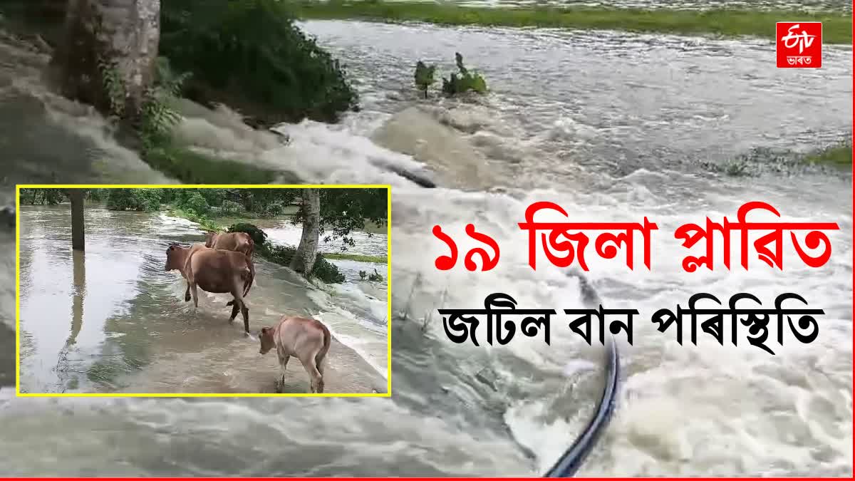 ASSAM FLOOD 2024