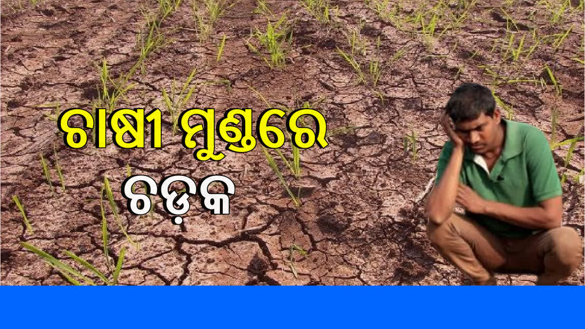 Farmers Worried In Khordha