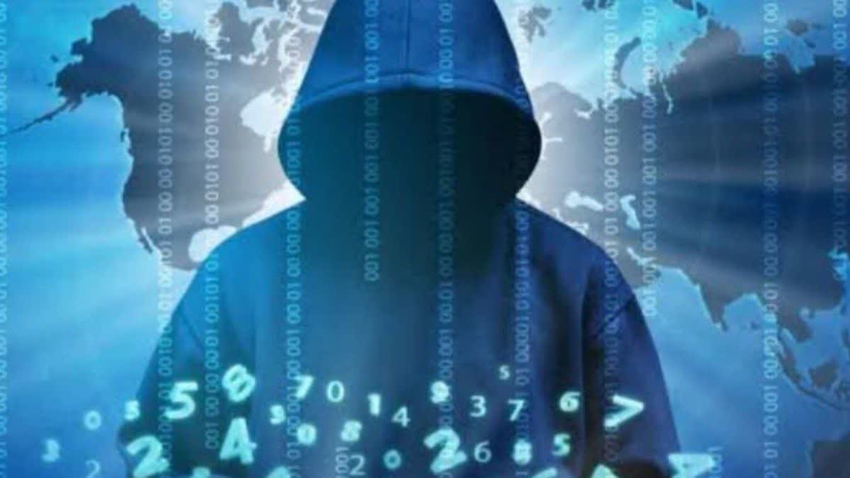 Cyber ​​Fraud Case