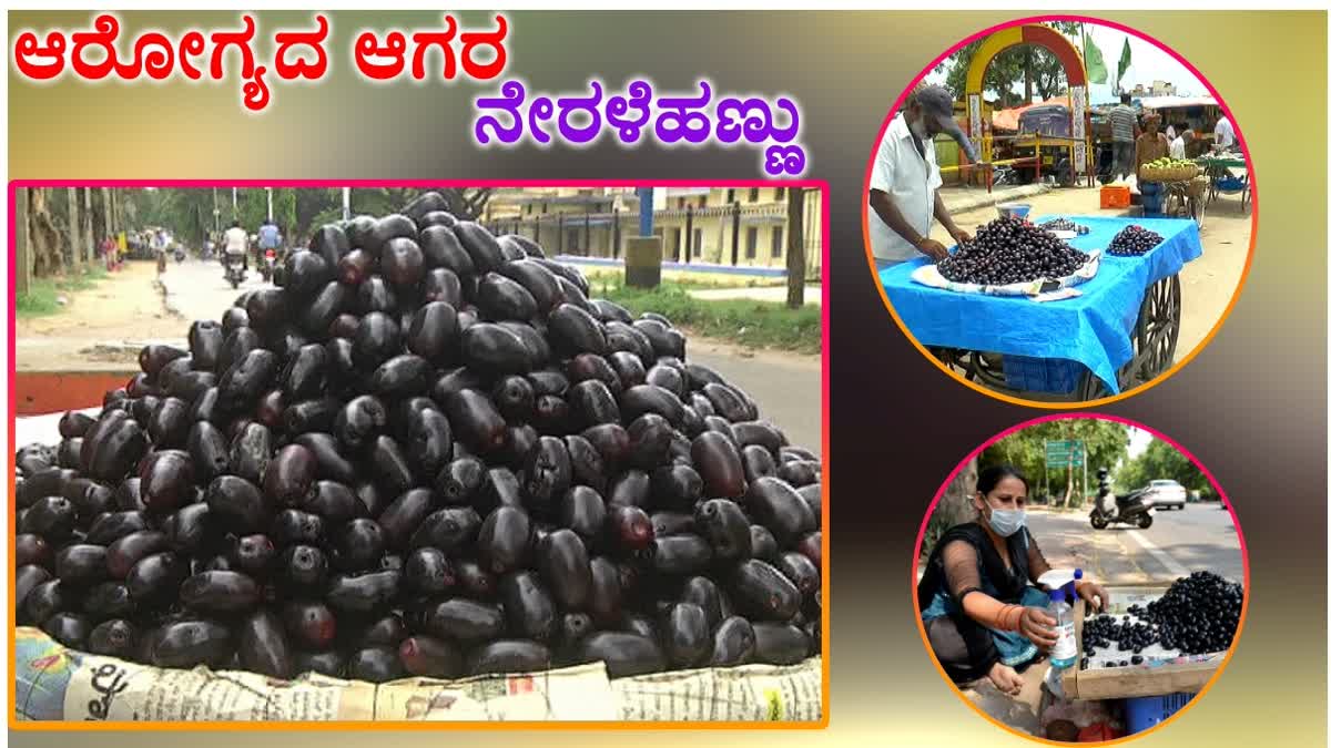 Health Benefits Of Black Plums