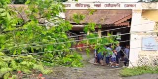 Tree Falls Down at School Premises in Kaliabor