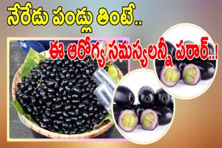 Health Benefits Of Black Plums