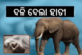 ହାତୀ ଆକ୍ରମଣରେ ବୃଦ୍ଧ ମୃତ, ମୃତକଙ୍କ ପରିବାରକୁ ଦିଆଗଲା କ୍ଷତିପୂରଣ ରାଶି