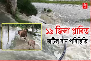 ASSAM FLOOD 2024