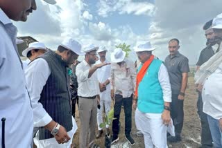 INDORE 51 LAKH TREE PLANTATION