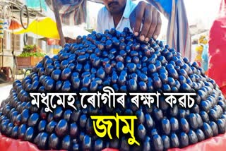 Eating Jamun can help to regulate Blood Sugar Level, other benefits