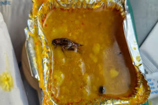 COCKROACH IN RAILWAY FOOD