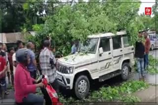 Golaghat accident