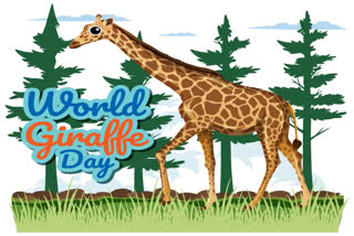World Giraffe Day - Raising Awareness About Protection of This Amazing Animal