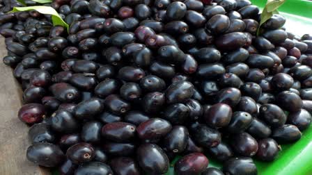 Health Benefits of Jamun