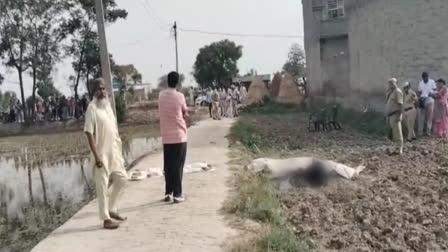 Double murder in Fatehabad