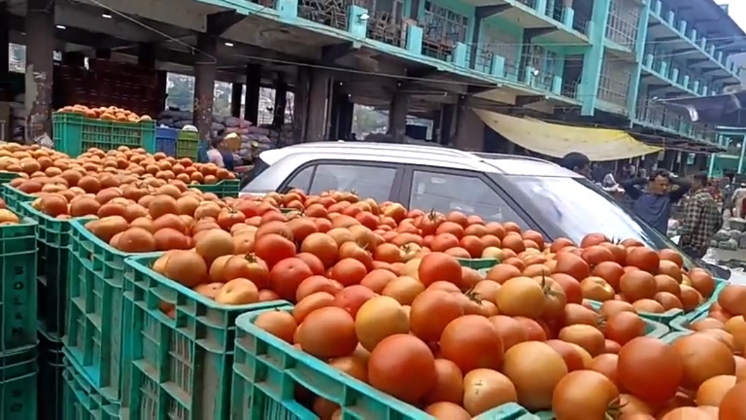 Tomato Price Hike in Solan