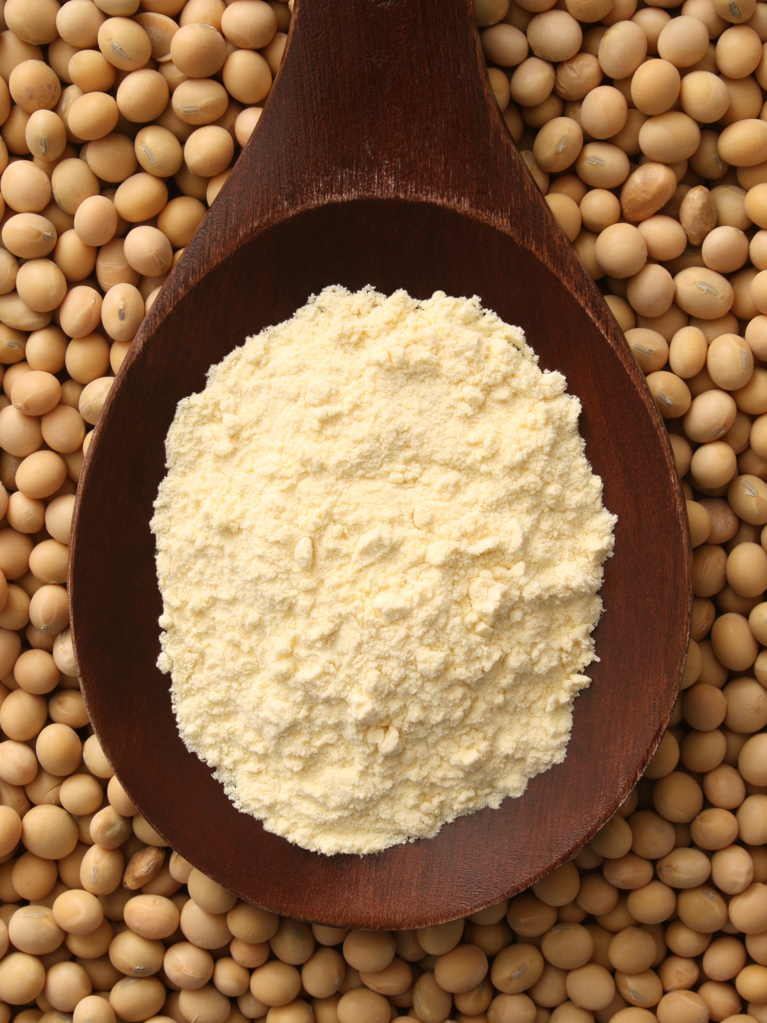 Besan Flour