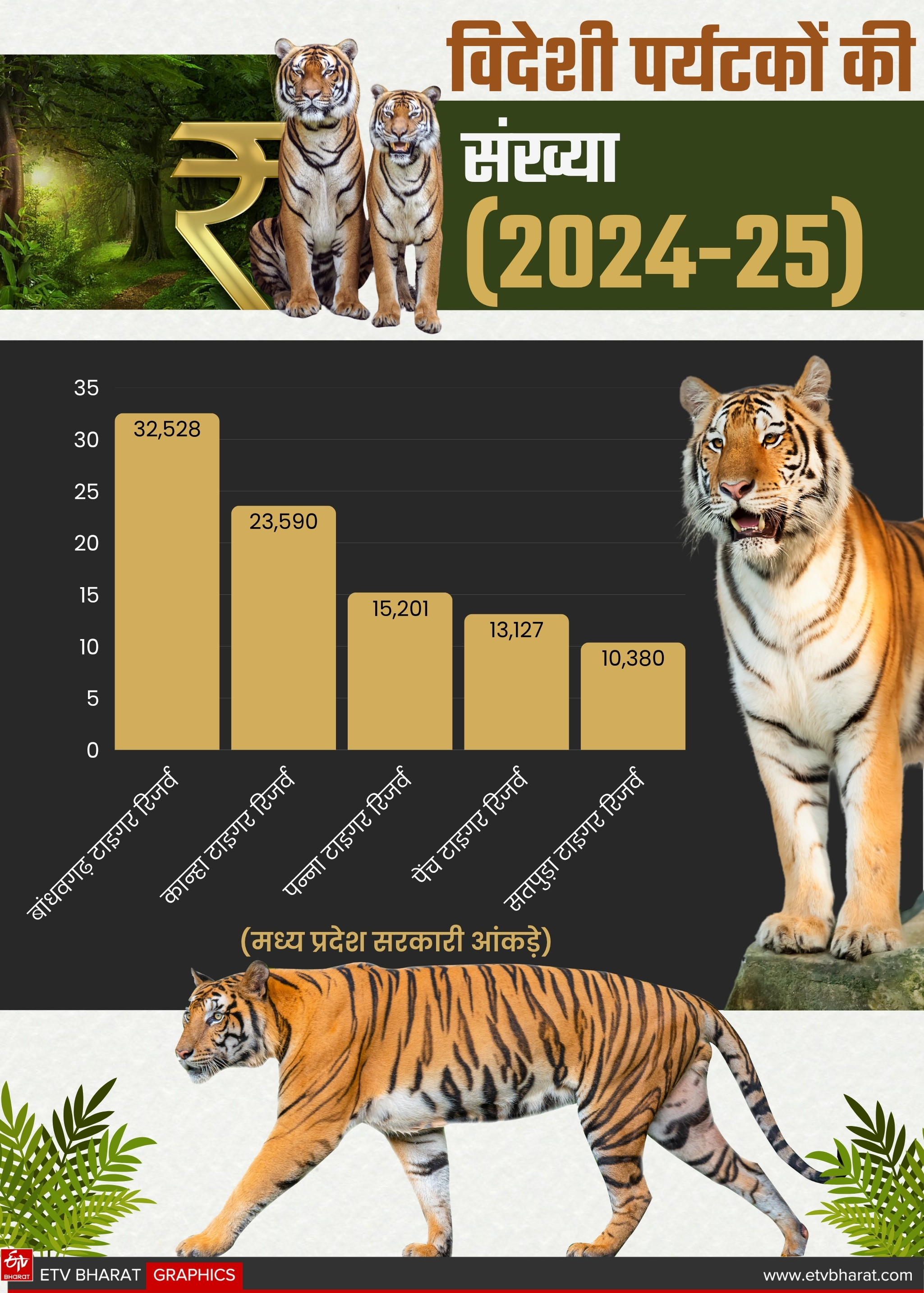 TOURISTS INCREASED IN MP RESERVE