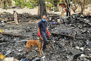 GUJARAT  MINISTER RUSHIKESH PATEL  AHMEDABAD PLANE CRASH  PLANE CRASH DNA TESTTING