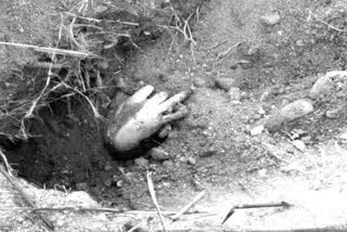 A WOMAN BODY FOUND BURIED IN KOLLEGALA OF CHAMARAJANAGAR