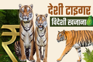 MP 5 POPULAR TIGER RESERVE