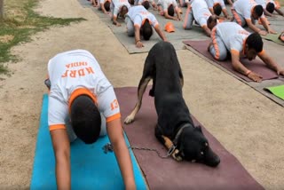 INTERNATIONAL YOGA DAY