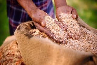 MOHAN YADAV GOVT ANNOUNCEMENT