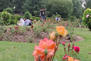 کشمیر میں  سیاحتی مقامات پر چہل پہل شروع