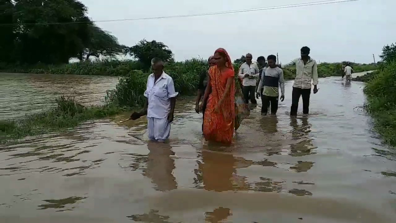 ઘેડમાં પૂરની સમસ્યા વિકરાળ બની