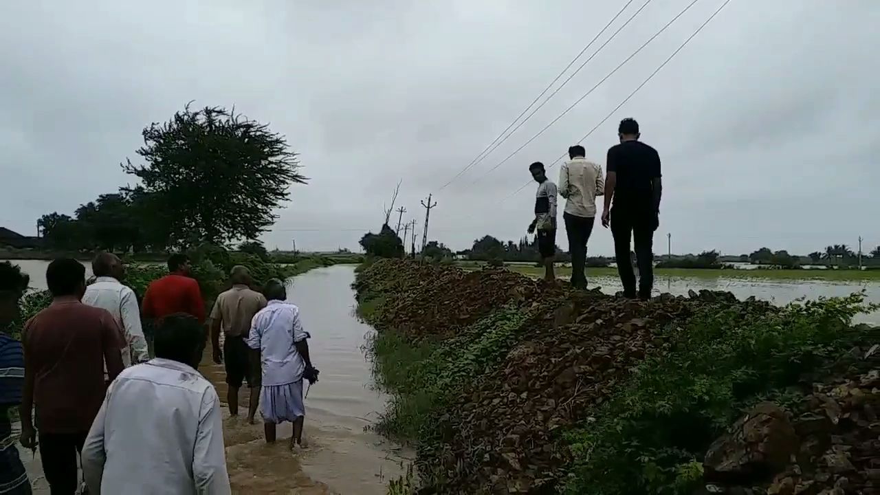 ઘેડમાં પૂરની સમસ્યા વિકરાળ બની