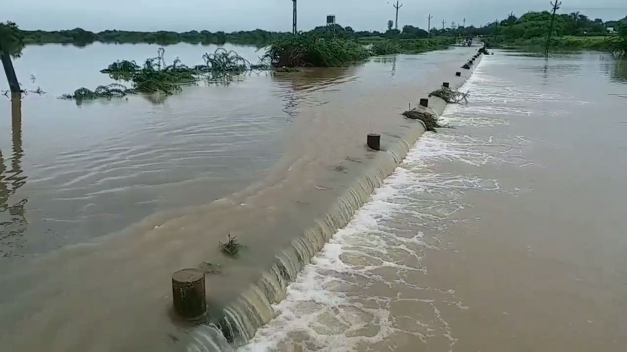 ઘેડમાં પૂરની સમસ્યા વિકરાળ બની