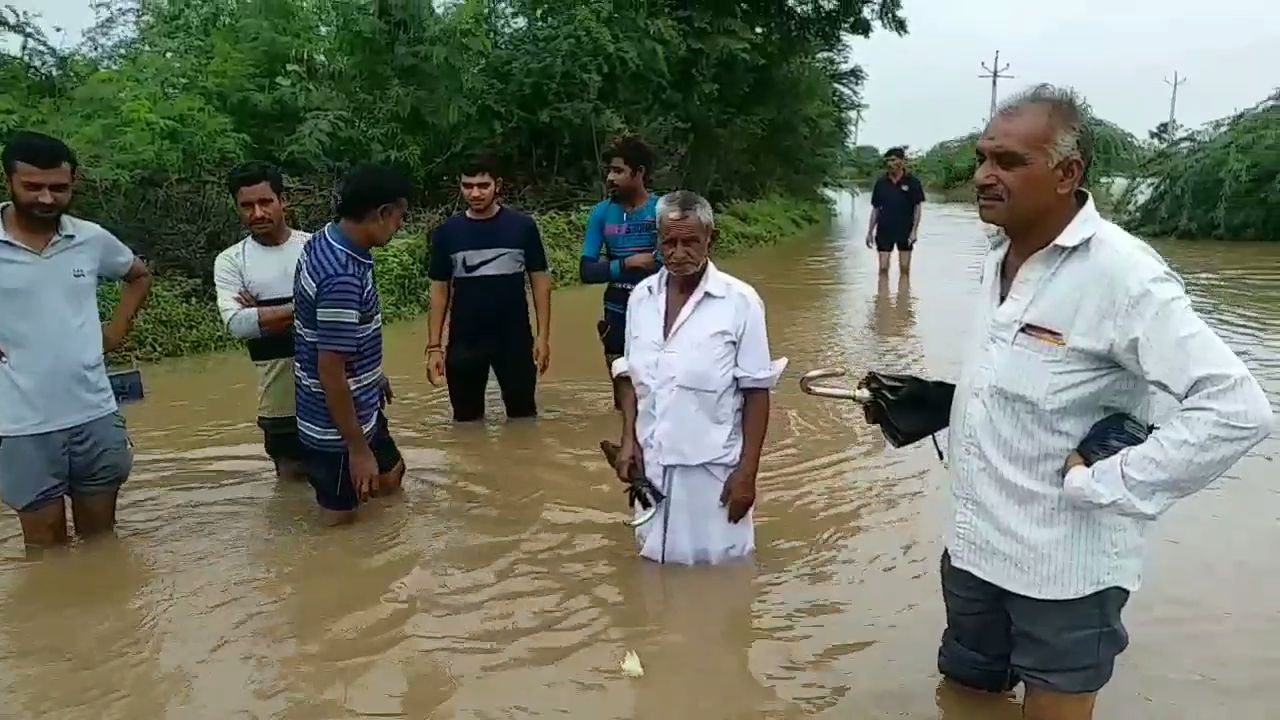 ઘેડમાં પૂરની સમસ્યા વિકરાળ બની