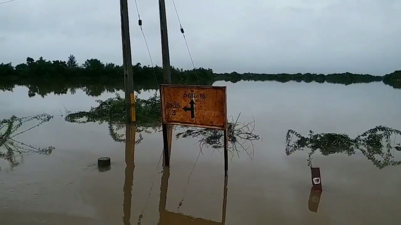 ઘેડમાં પૂરની સમસ્યા વિકરાળ બની