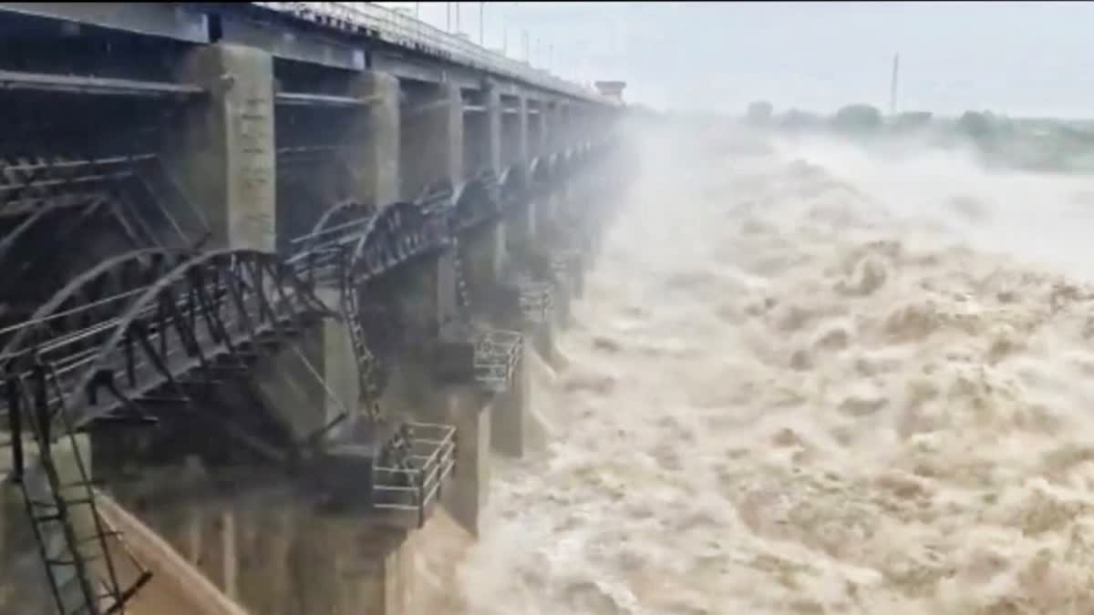 Rajkot Rain: ઉપલેટા વેણુ-2 ડેમના 19 દરવાજા 18 ફૂટ ખોલાતા નદીમાં ઘોડાપૂર આવ્યું