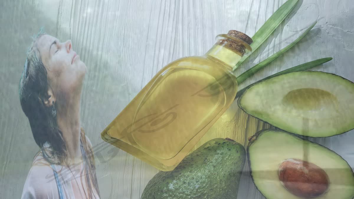 Avocado oil For Hair News