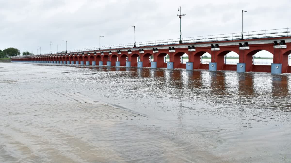 આજવા અને વિશ્વામિત્રીમાં નવા નીર આવ્યા