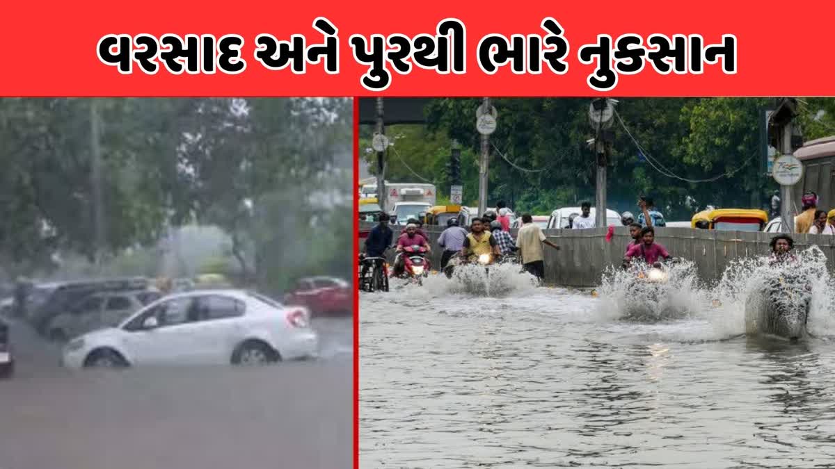 Delhi Flood: