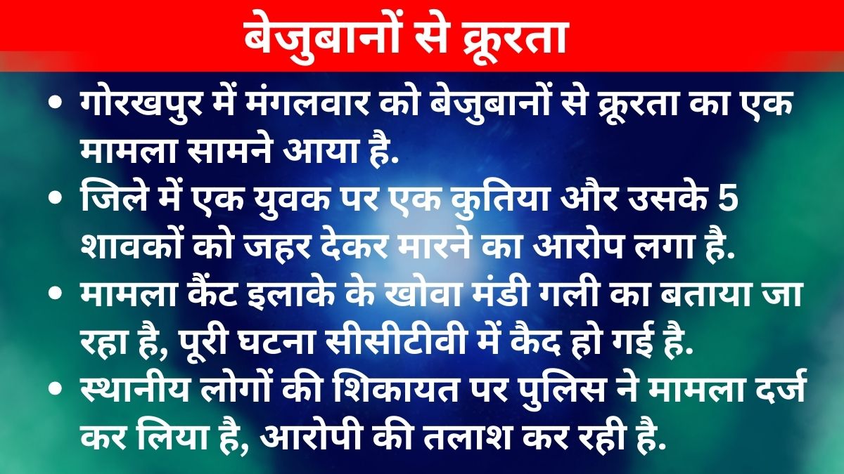 गोरखपुर में छह कुत्तों को जहर देकर मार डाला