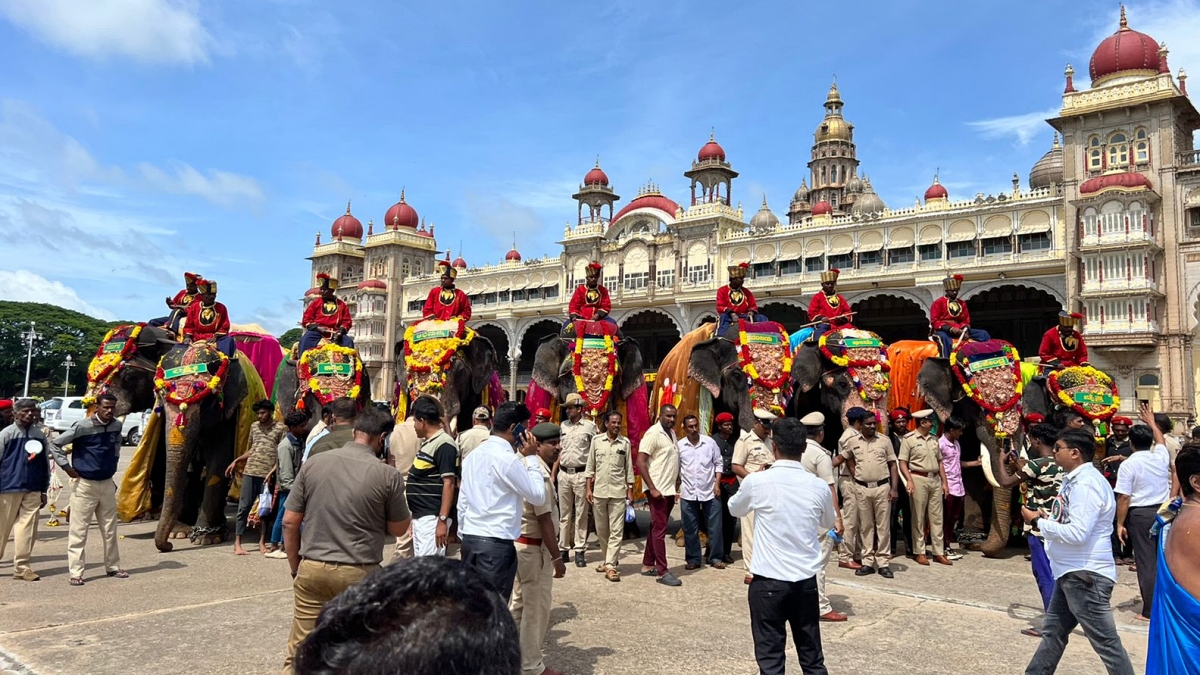 Elephants in Dasara