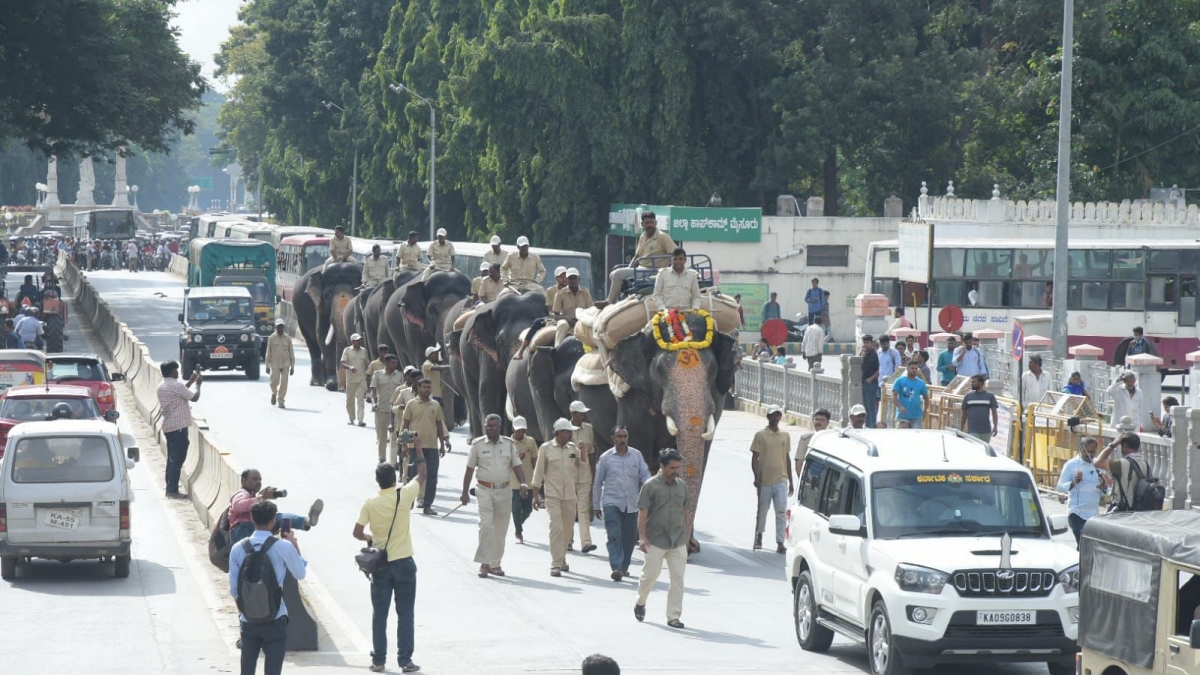Elephants in Dasara