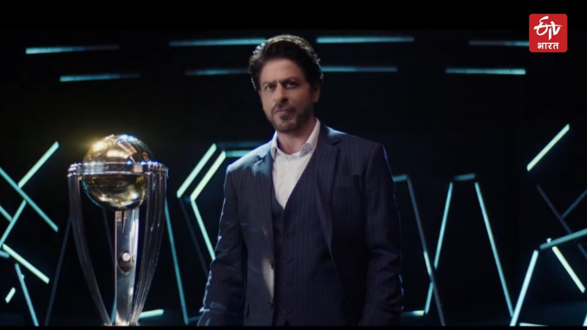 One day World Cup 2023 Shah Rukh Khan