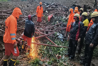 Raigad landslide