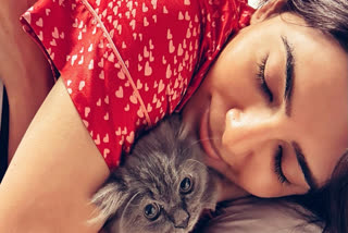 Samantha Ruth Prabhu introduces her new pet cat Gelato with a cozy picture