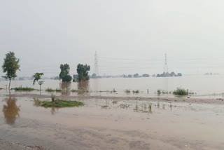 Fatehabad Flood Latest News
