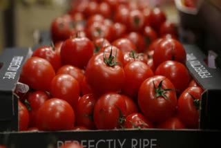 Tomatoes Distributes in Birthday