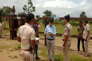 Officials inspected the elephants