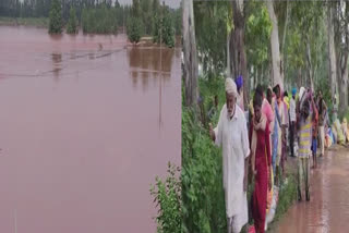 In Amritsar, the water of Ravi river destroyed the crops of the farmers