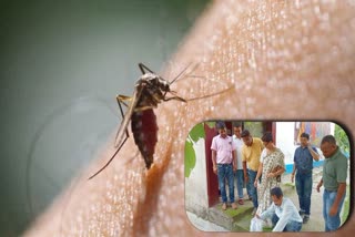 Dengue Awareness