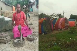 This Chhattisgarh tribe offers serpents as dowry  snake  CHHATTISGARH TRIBE OFFERS SNAKES AS DOWRY  സ്‌ത്രീധനമായി പാമ്പുകളെ നൽകുന്ന ഇന്ത്യയിലെ ഗ്രാമം  സ്‌ത്രീധനമായി പാമ്പ്  കോർബ  Korba  SNAKES AS DOWRY IN CHHATTISGARH  സ്‌ത്രീധനമായി പാമ്പുകളെ ഗോത്രം