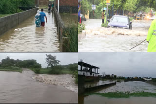 Joint Warangal Rains News