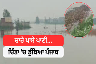 Now the water of Beas river is just one foot below the yellow alert mark